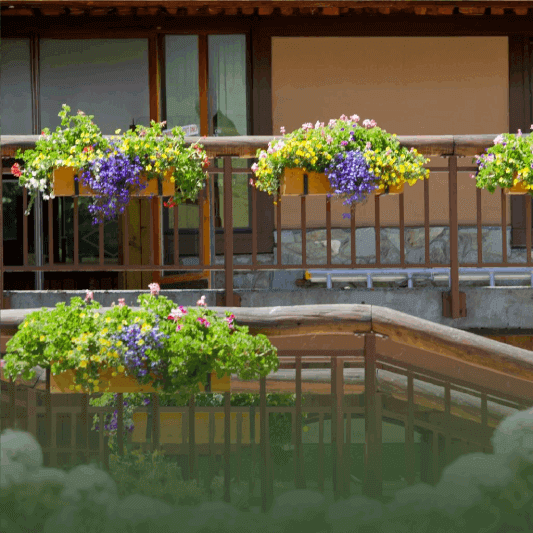 Revamp your balcony into a vibrant garden oasis with creative, space-saving solutions tailored to urban lifestyles.
