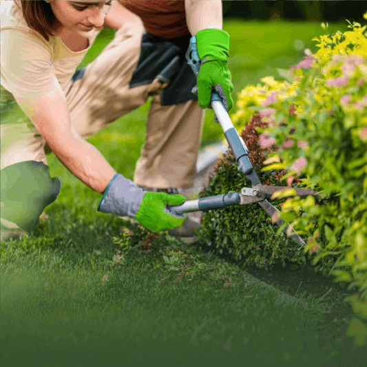 Keep your garden thriving year-round with expert care, including pruning, soil health, and pest management.