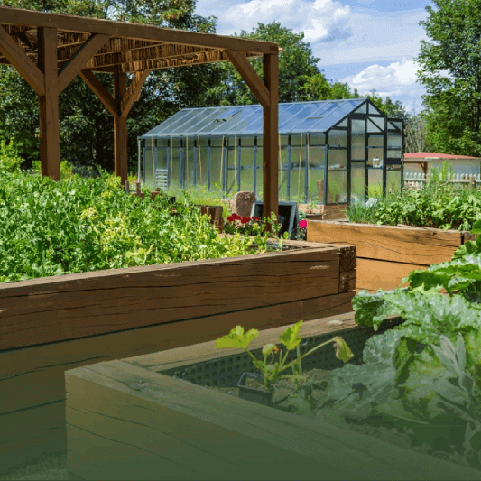 Grow fresh, organic produce at home with customized vegetable gardens, from soil prep to harvest-ready plants.